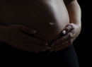 Gravid